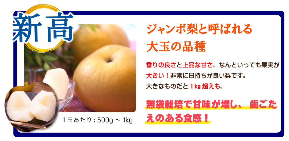 新高梨/ジャンボ梨と呼ばれる大玉の品種