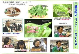 KBCニュースピアに登場