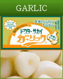 �ɥ�����������������å�